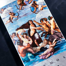 Lade das Bild in den Galerie-Viewer, Primitive Lemos Century Deck 8.0"
