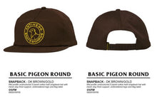 Lade das Bild in den Galerie-Viewer, Anti Hero Basic Pigeon Snapback
