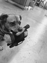 Lade das Bild in den Galerie-Viewer, WKND HPX Plushie
