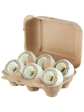 Lade das Bild in den Galerie-Viewer, Slime Balls OG Eggs Half Dozen Mini Chubbies 99A
